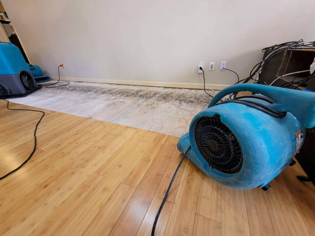 Professional Emergency Water Damage technician working in Cedar Bluff, AL